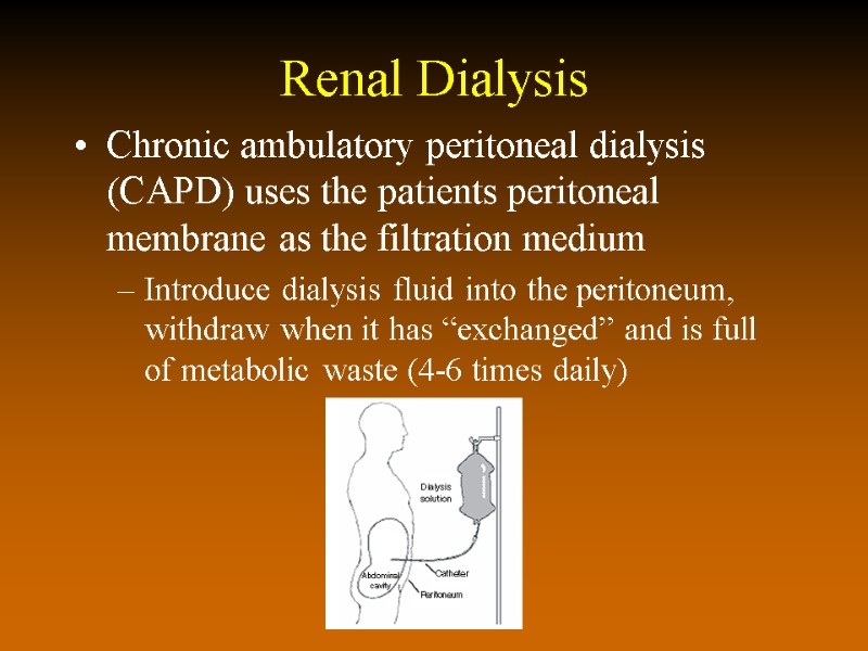 Renal Dialysis Chronic ambulatory peritoneal dialysis (CAPD) uses the patients peritoneal membrane as the